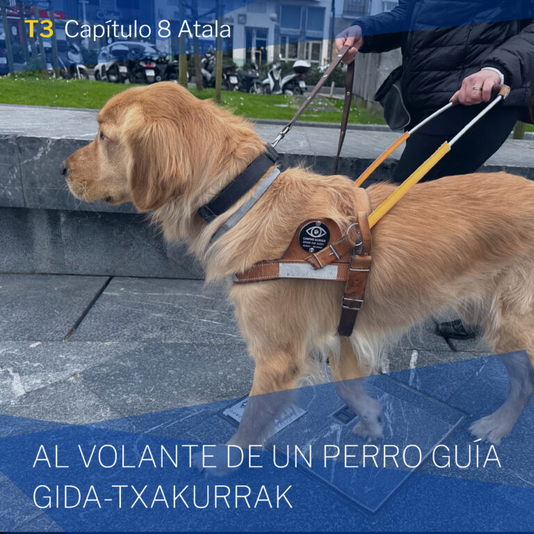AL VOLANTE DE UN PERRO GUÍA / GIDA-TXAKURRAK